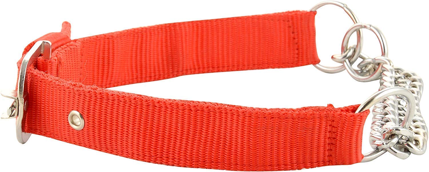 PSK PET MART Dog Nylon Half Chain Half Collar Belt Stainless Steel Dogs Collars 1 Piece Size - 1.25 inch Large (Color May Vary) (Pack of 1) - Image 6