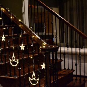 FLYNGO 12 Diya Diwali Curtain String LED Lights for Decoration, Window Lights with 8 Flashing Modes, Home Decoration for Diwali, Wedding, Party, Christmas, Balcony - Warm White (12 Diya)