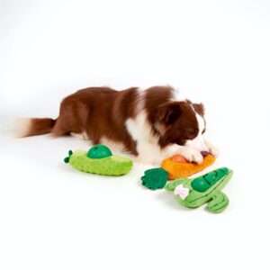 BarkButler x FOFOS Avocado Treat Dispensing Squeaky Plush Dog Toy - Green, Squeaker Inside, Multi Material Soft Toys, Durable Reinforced Fabric, Interactive Dog Toys for All Breeds XS-M (0-20kgs)
