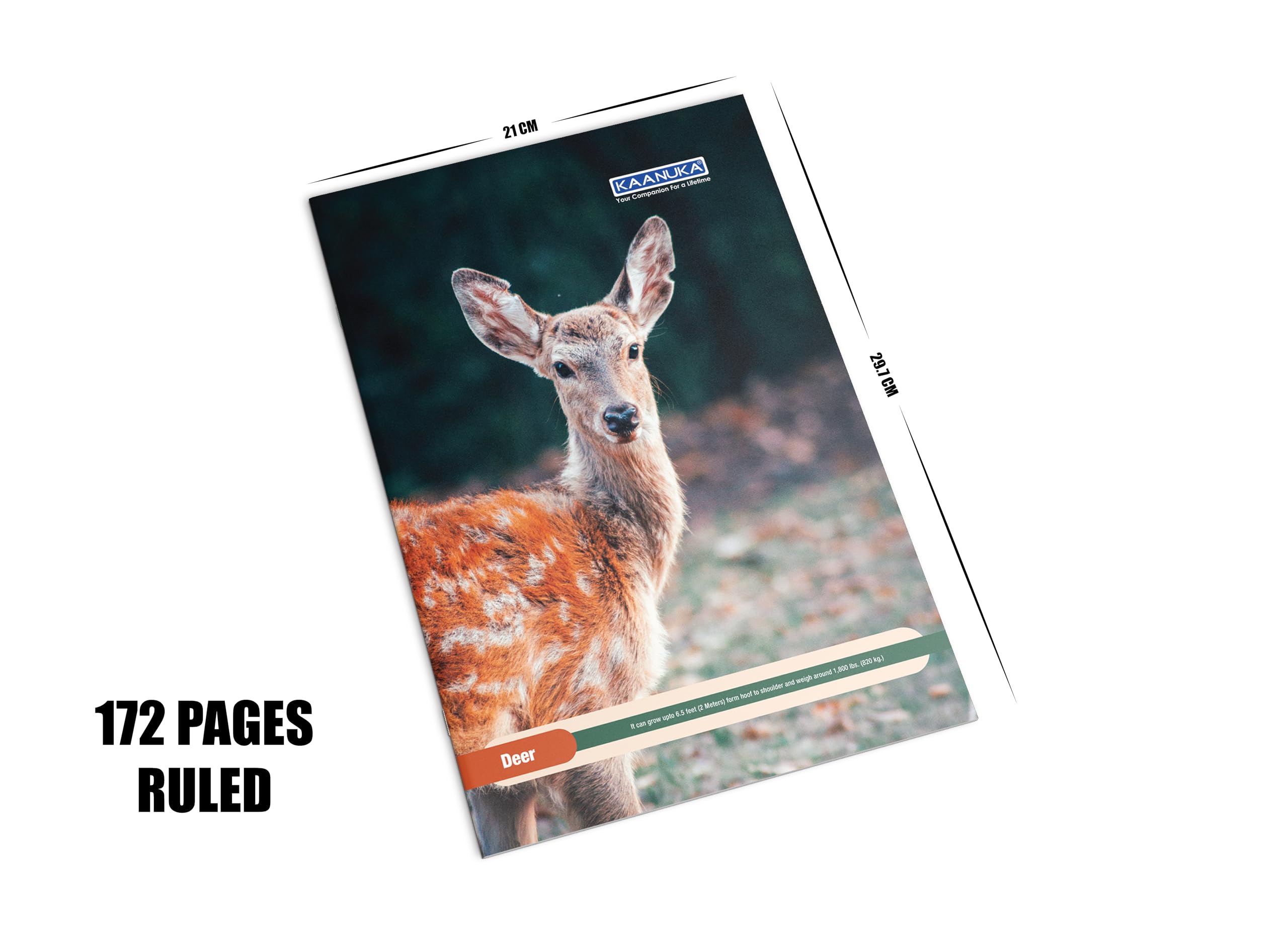 KAANUKA Long Size Notebook - 172 Pages, Ruled, Single Line, A4-29.7cm X 21.0cm, Pack Of 5 Notebooks, Long Size Single line Notebooks for School and College Students - Image 3