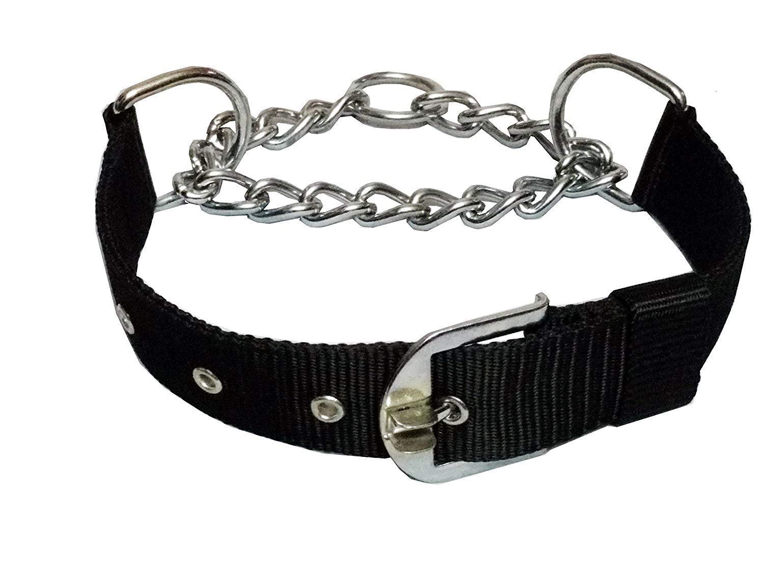 PSK PET MART Dog Nylon Half Chain Half Collar Belt Stainless Steel Dogs Collars 1 Piece Size - 1.25 inch Large (Color May Vary) (Pack of 1) - Image 4
