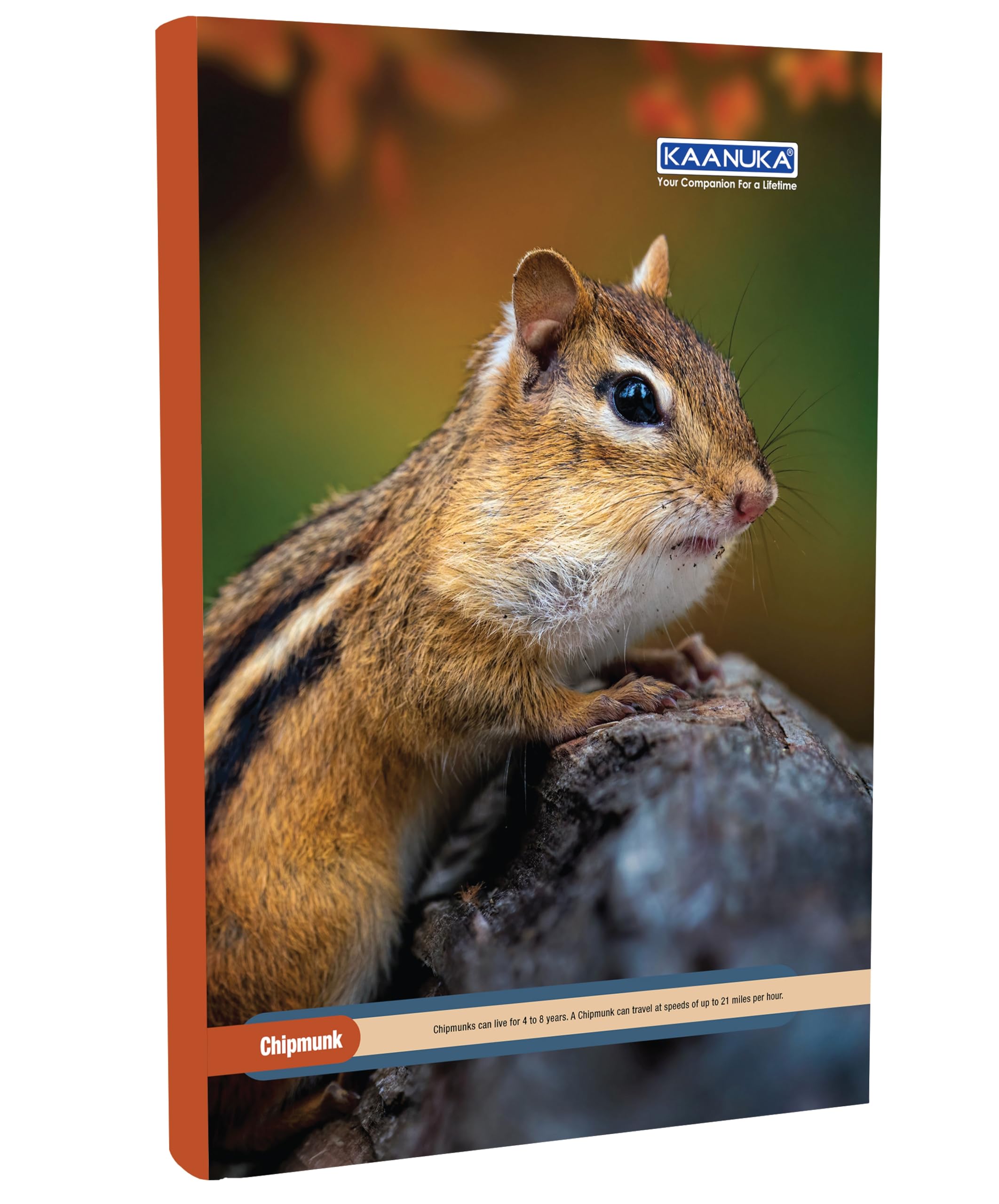 KAANUKA Long Size Notebook - 172 Pages, Ruled, Single Line, A4-29.7cm X 21.0cm, Pack Of 5 Notebooks, Long Size Single line Notebooks for School and College Students - Image 6