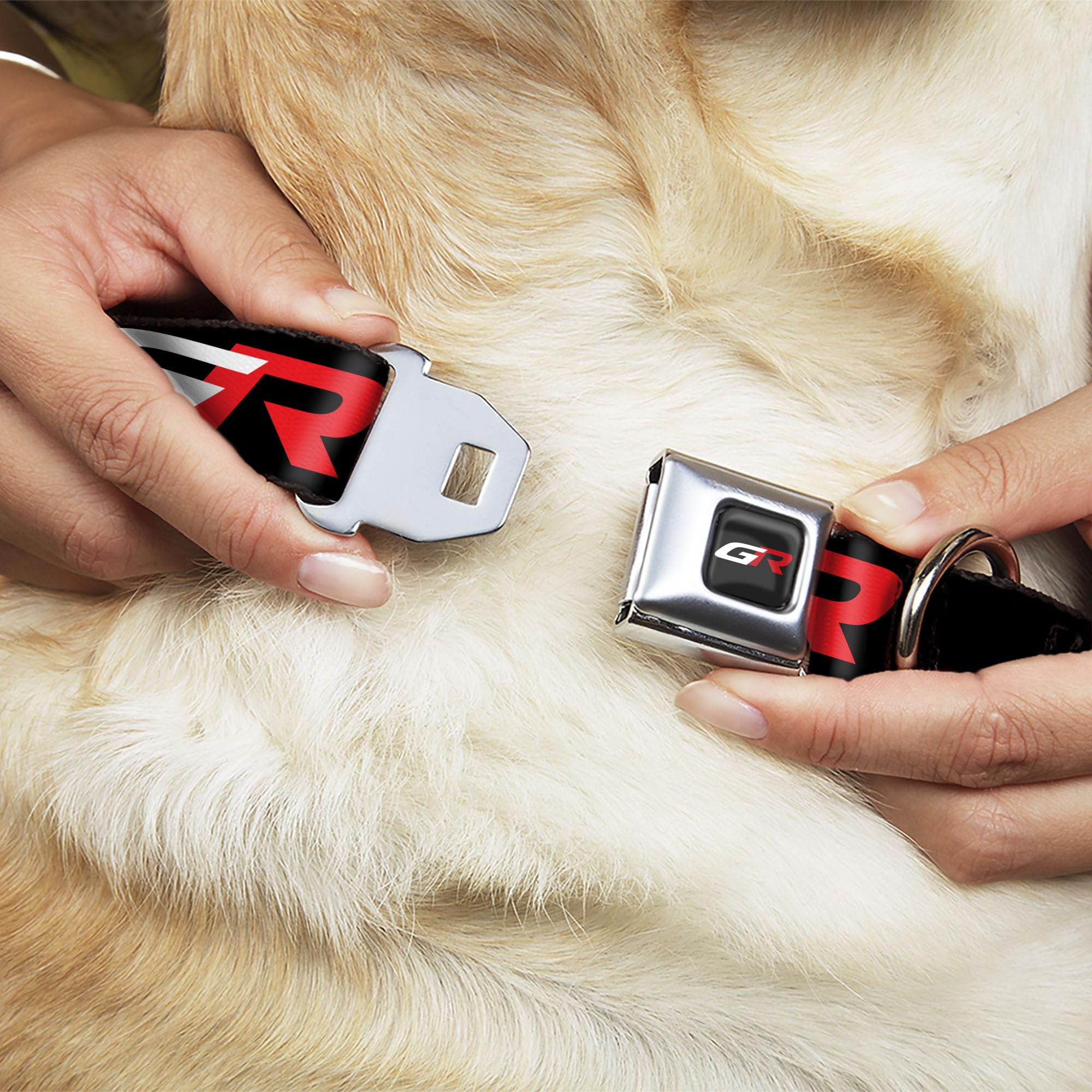 Toyota Pet Collar, Dog Collar Metal Seatbelt Buckle, Toyota Gazoo Racing GR Logo and Text Black White Red, 15 to 24 Inches 1.0 Inch Wide - Image 9