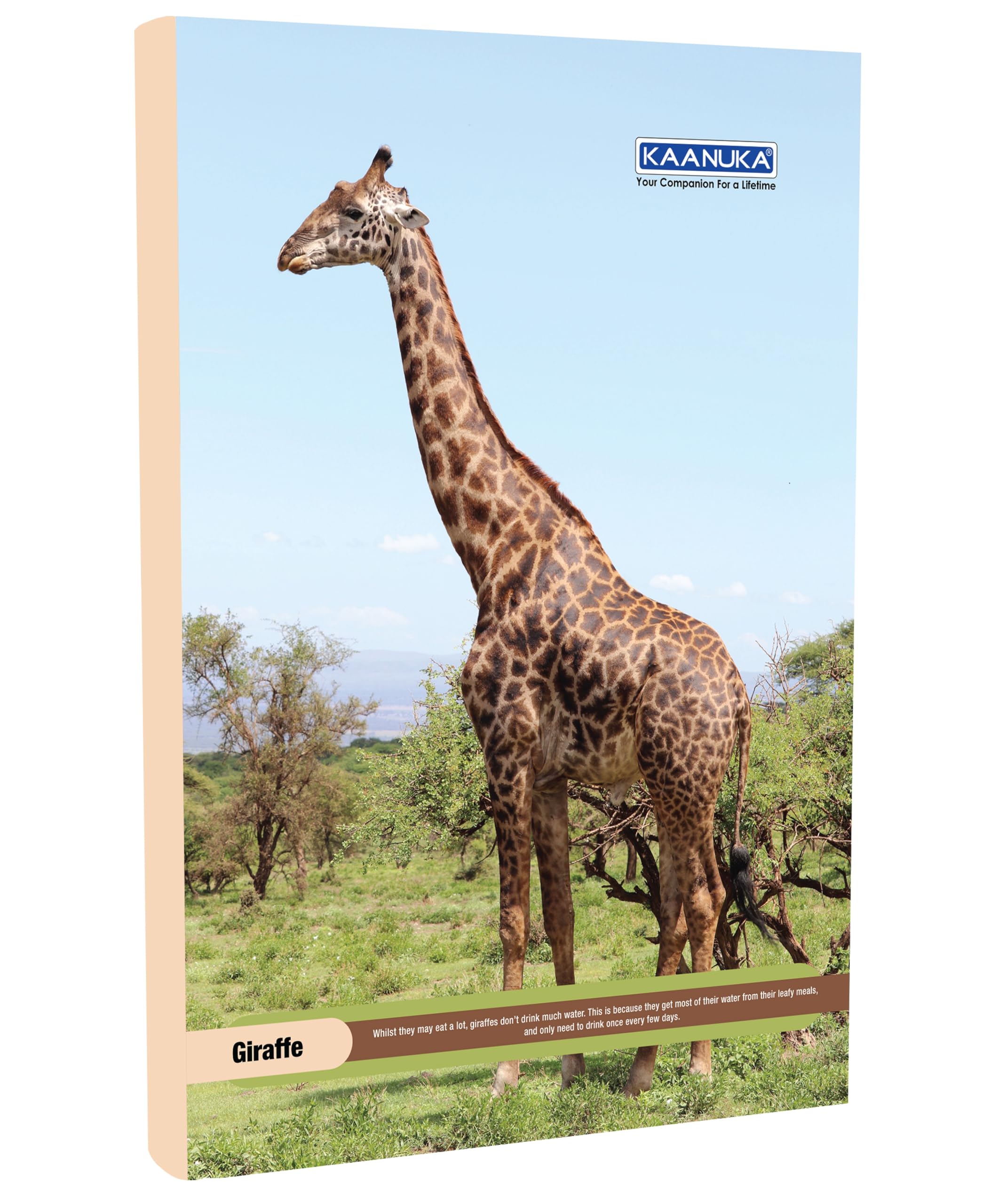 KAANUKA Long Size Notebook - 172 Pages, Ruled, Single Line, A4-29.7cm X 21.0cm, Pack Of 5 Notebooks, Long Size Single line Notebooks for School and College Students - Image 9