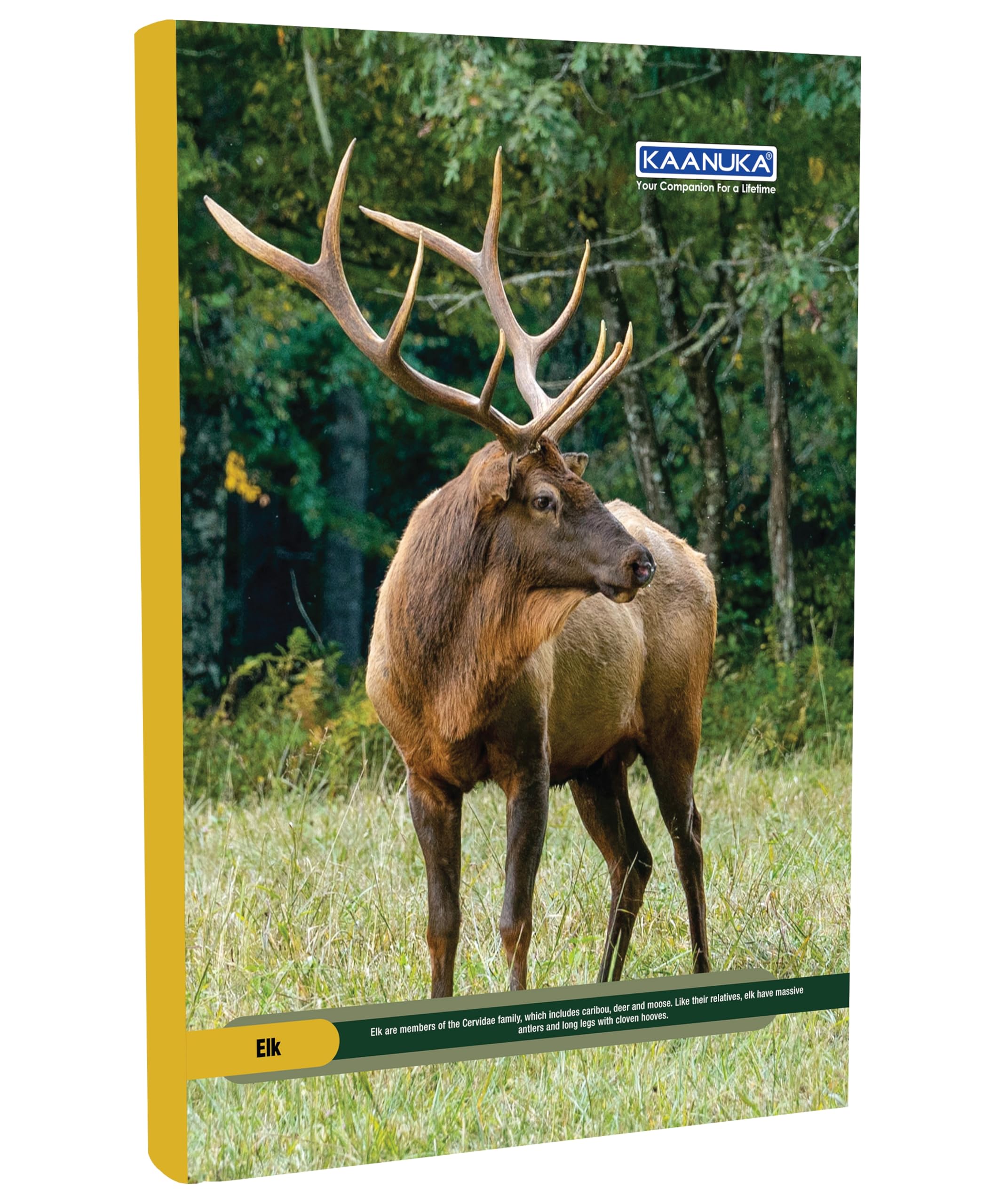 KAANUKA Long Size Notebook - 172 Pages, Ruled, Single Line, A4-29.7cm X 21.0cm, Pack Of 5 Notebooks, Long Size Single line Notebooks for School and College Students - Image 5