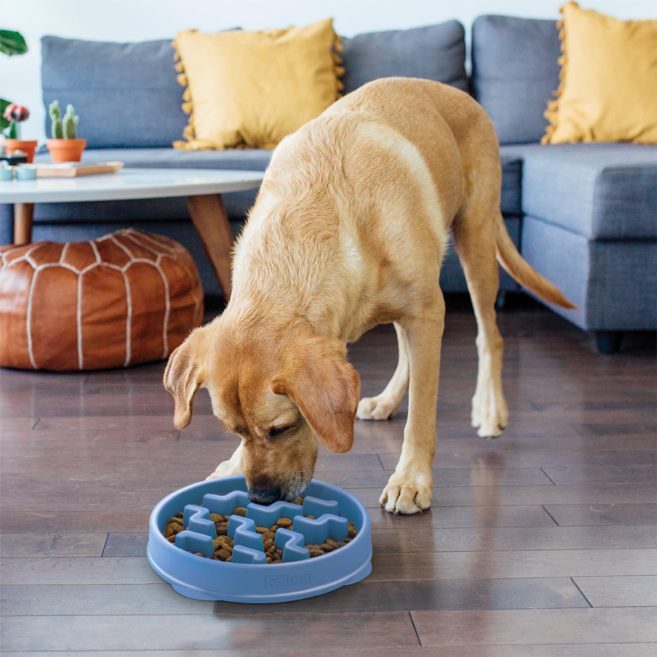 Outward Hound Fun Feeder Slo Bowl Large Blue | Slow Feeder Dog Bowl | Anti Gulping Bowl Reduces Bloat & Improves Digestion - Image 7